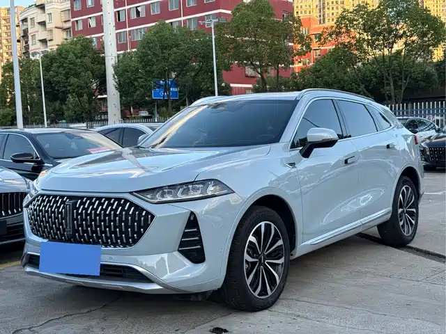  WEY Wey Mocha 2021 2.0T 2WD Premium Edition