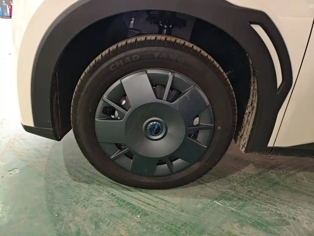 BYD Seagull 2026 2025 Smart Drive Edition 305km Vitality Version