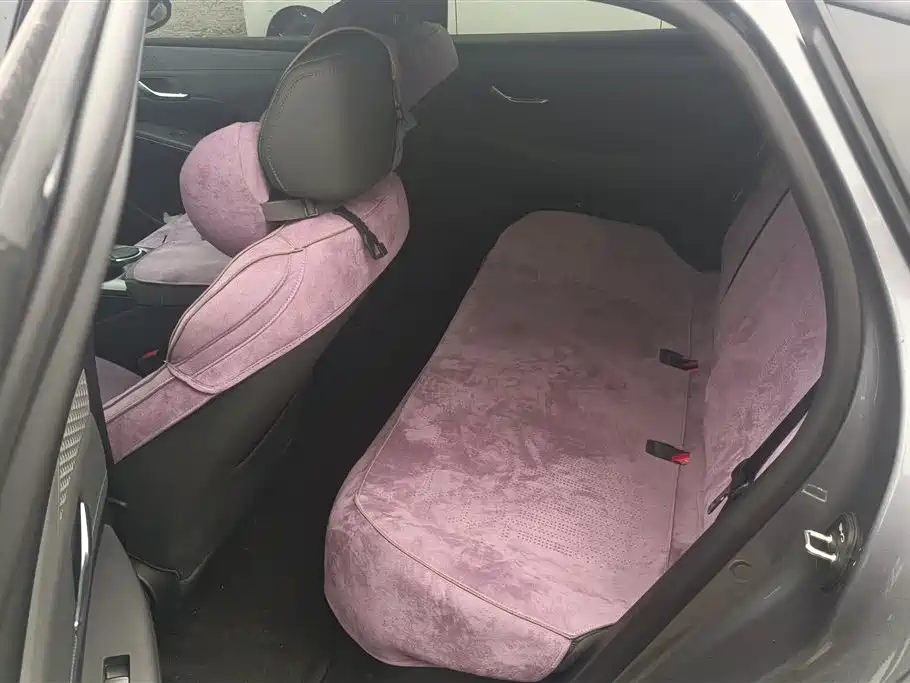 BYD Qin PLUS 2025 DM-i Smart Drive 55KM Leader фото 11