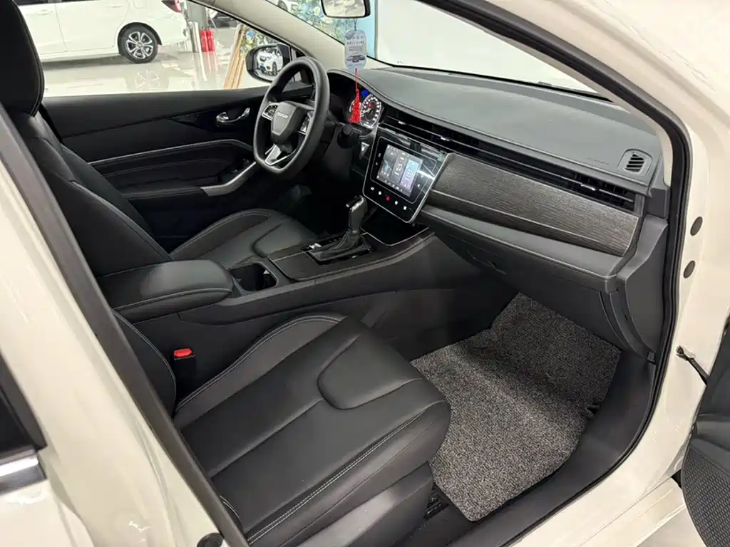 2024 Venucia D60