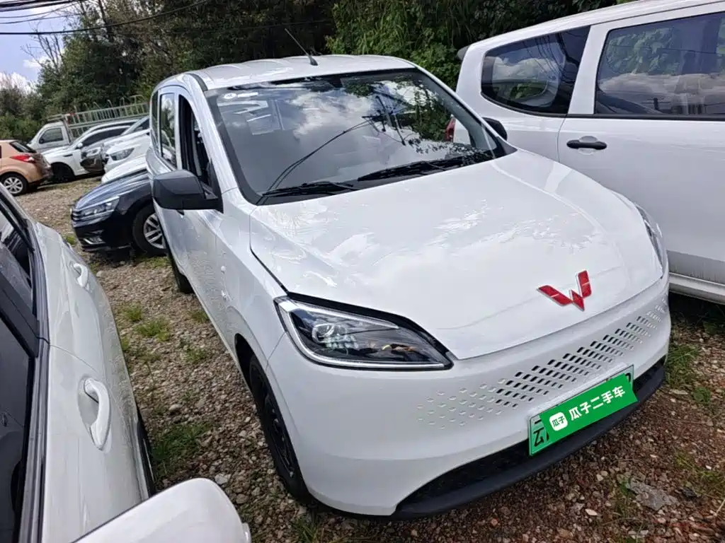 2026 Wuling Motors Wuling Hongguang New Energy