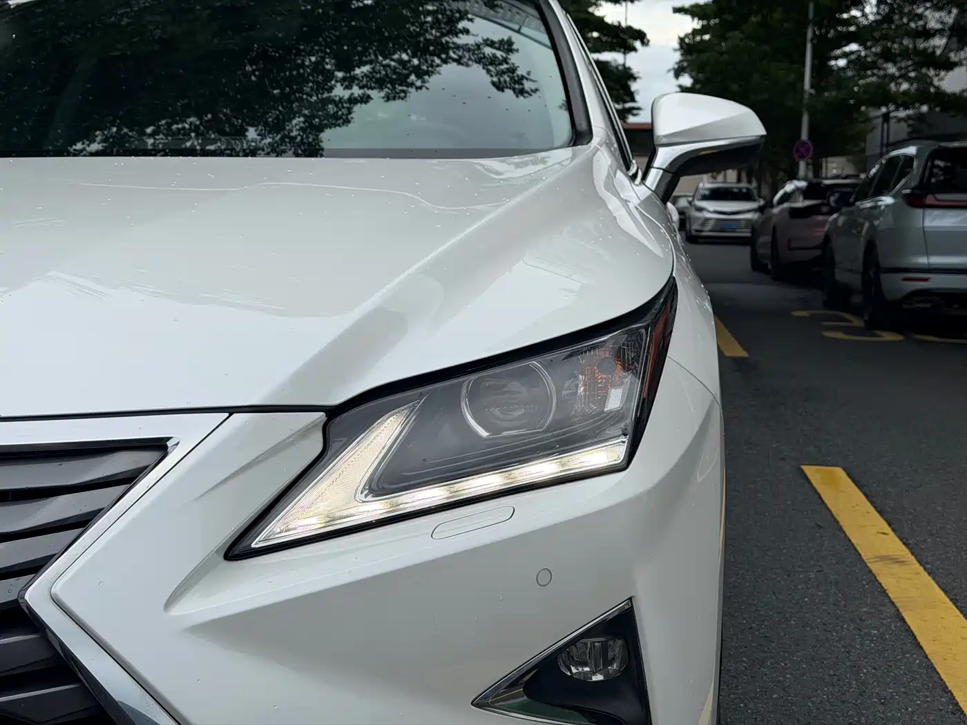 Lexus RX 2016 300 2WD Elite Edition (China V) фото 4