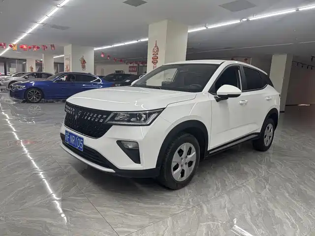  Wuling Motors Wuling Xingchi 2022 1.5L Manual Freedom Edition