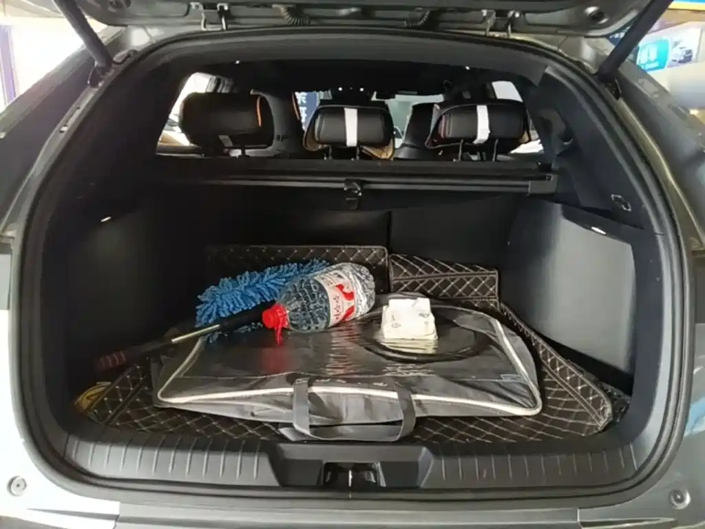 BYD Song PLUS 2021 2020 1.5T Automatic Flagship