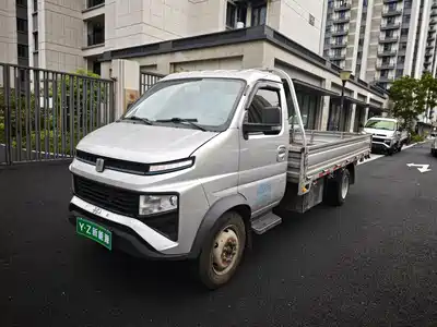 Farizon Xingxiang F1E
