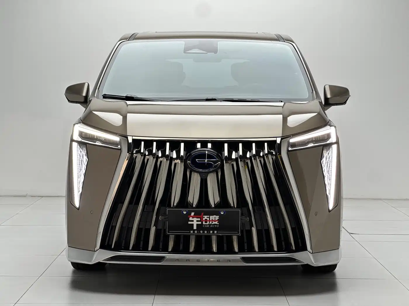 GAC Trumpchi Trumpchi M8 2023 Model Master Series Hybrid Royal Edition фото 2