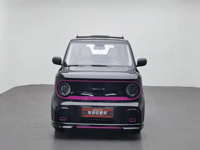Geely Galaxy Panda 2025 Model Year 210km Panda Kart — фото 3