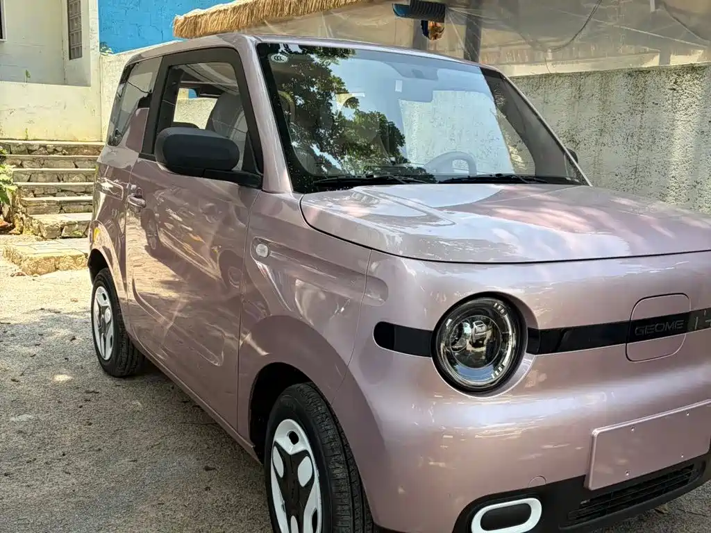 Geely Galaxy Panda 2026 2025 Model Year 210km Panda Kart