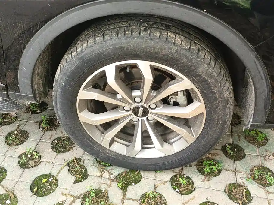 WEI PAI WEI BRAND VV6