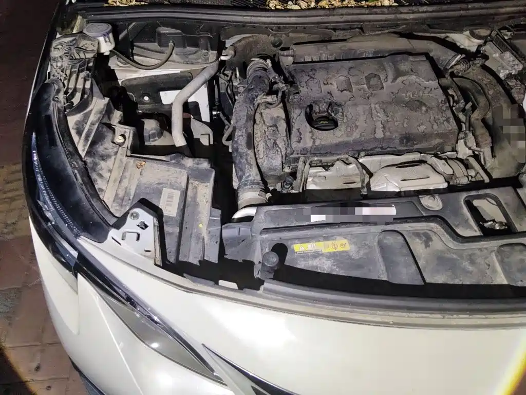 صورة 20 - Peugeot 4008