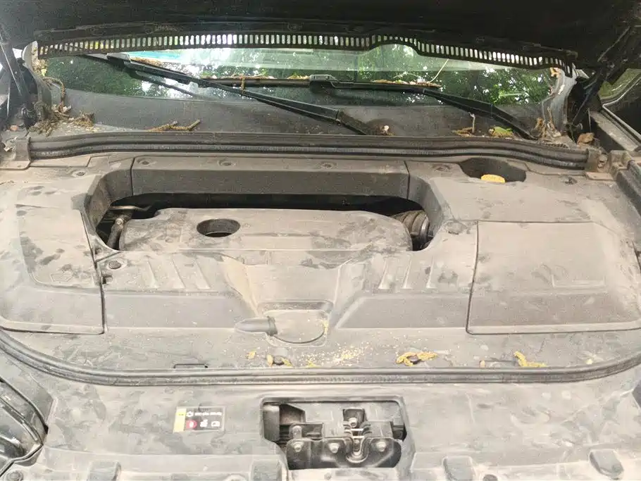 WEI PAI WEI BRAND VV6