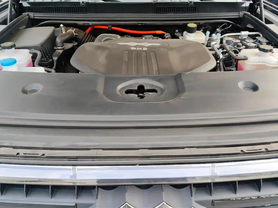 FANG CHENG BAO LEOPARD 5