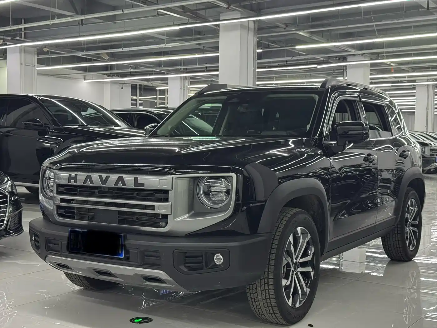 Haval Big Dog 2024 1.5T DCT Border Collie Edition фото 2