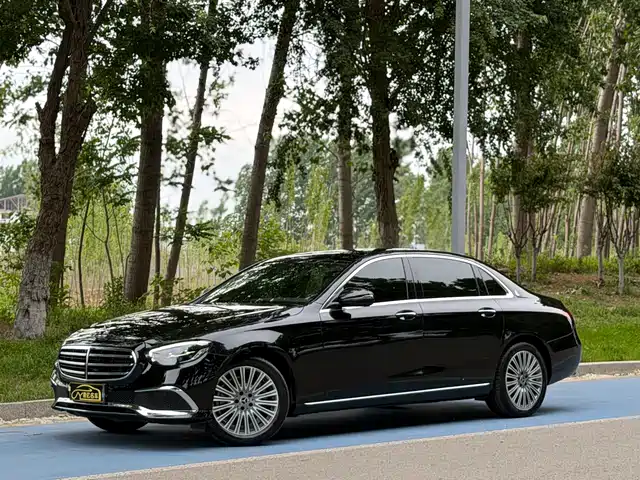 Mercedes-Benz E E 300 L, Стиль