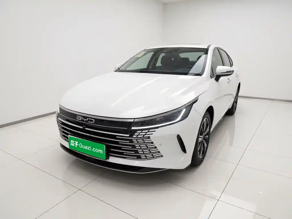 BYD Destroyer 05 2022
