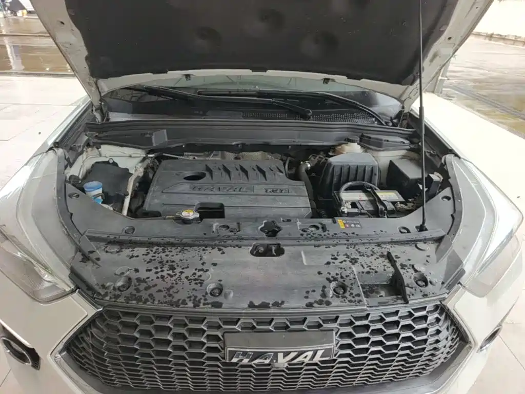Haval H6 Coupe 2020 2020 Smart Connect Edition 1.5T Automatic 2WD Luxury Smart Connect