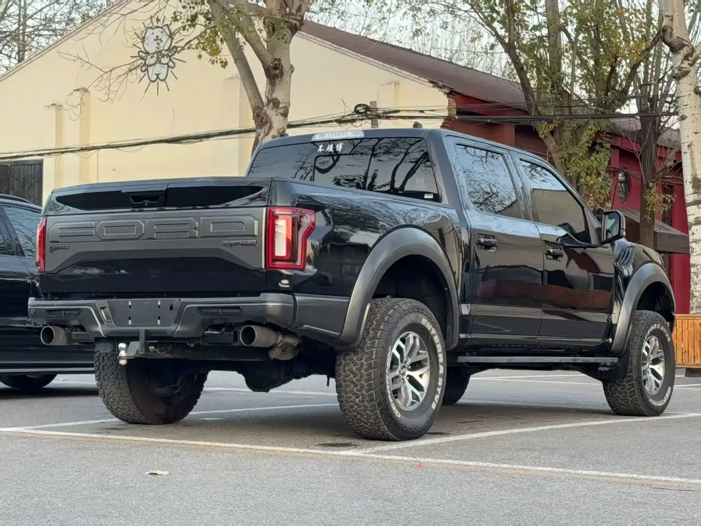 Ford F-150 Raptor 2017 2017 3.5T Raptor Performance Edition