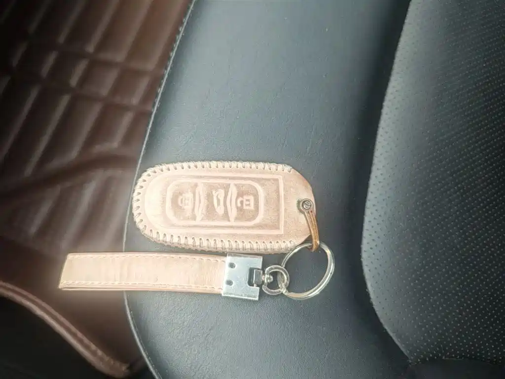 Geely Emgrand GS 2016 2016 Elegance Edition 1.3T Automatic Premium