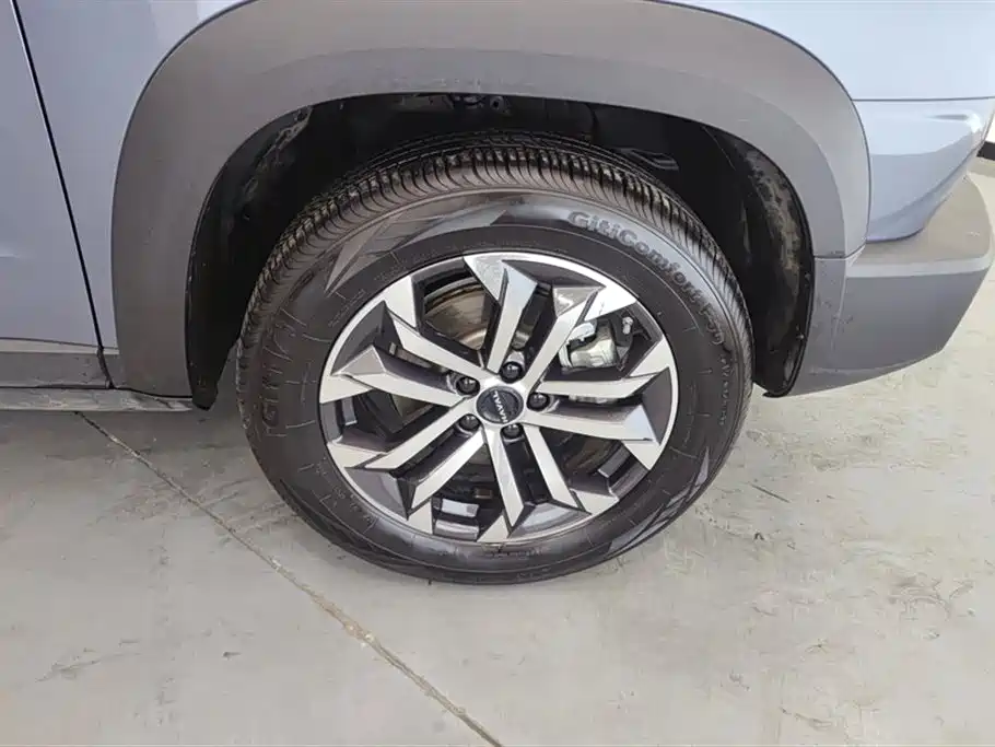 Haval Big Dog 2024 1.5T DCT Border Collie Edition фото 6