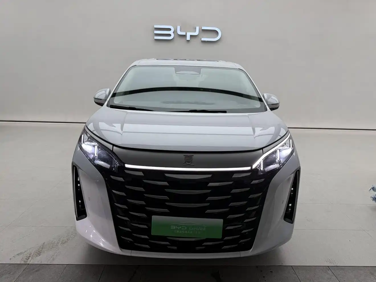 BYD Xia 2025 2025 DM-i 1.5T 100km Surpass Edition
