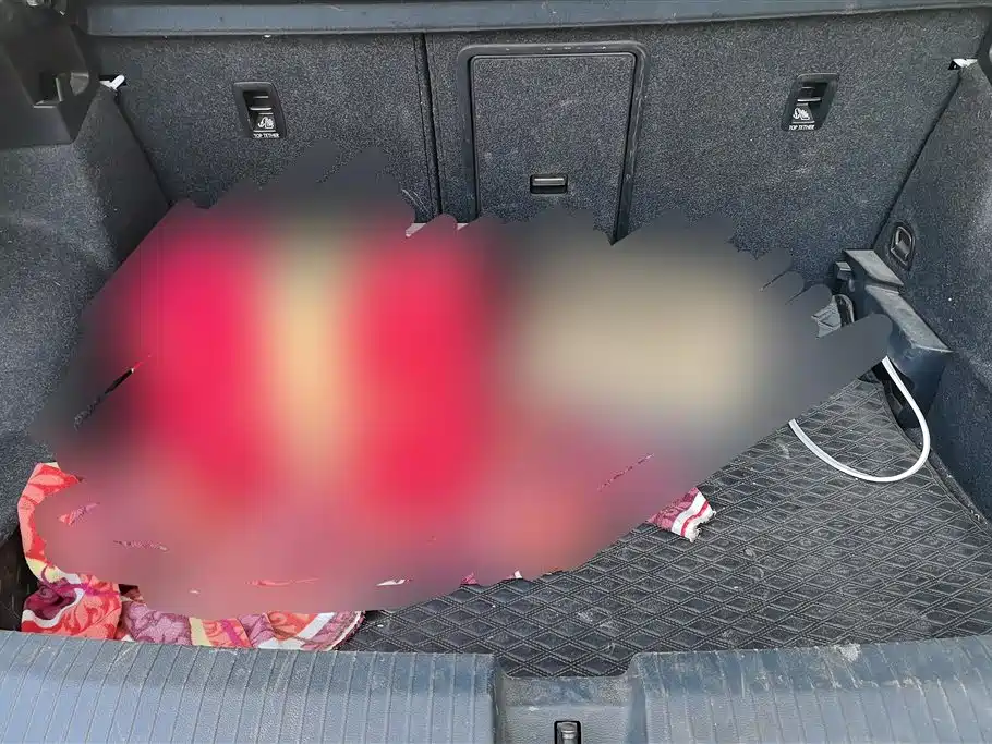 VOLKSWAGEN T ROC EXPLORING SONGS