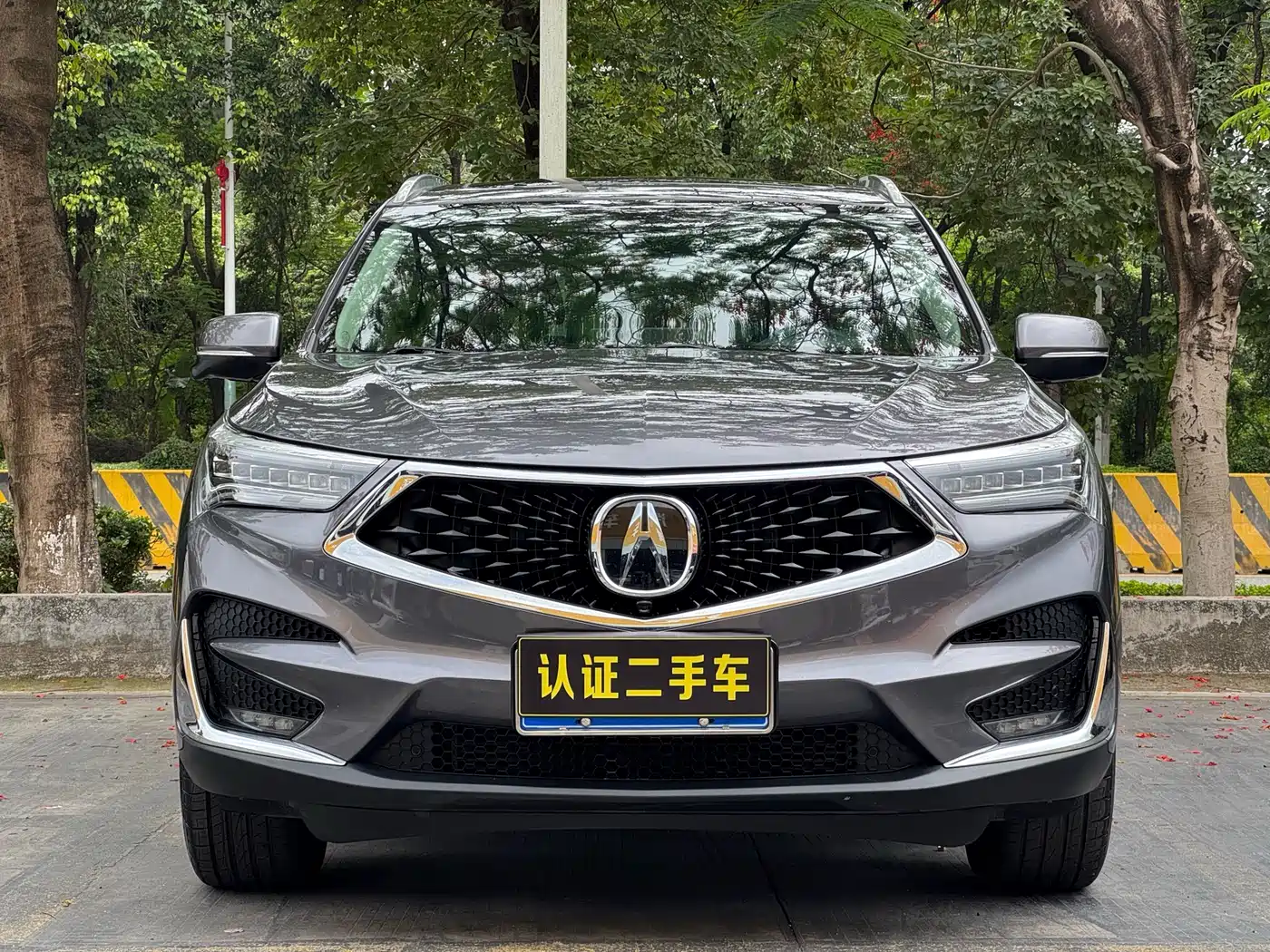 Acura RDX 2019 2019 2.0T Diamond Edition SH-AWD China V