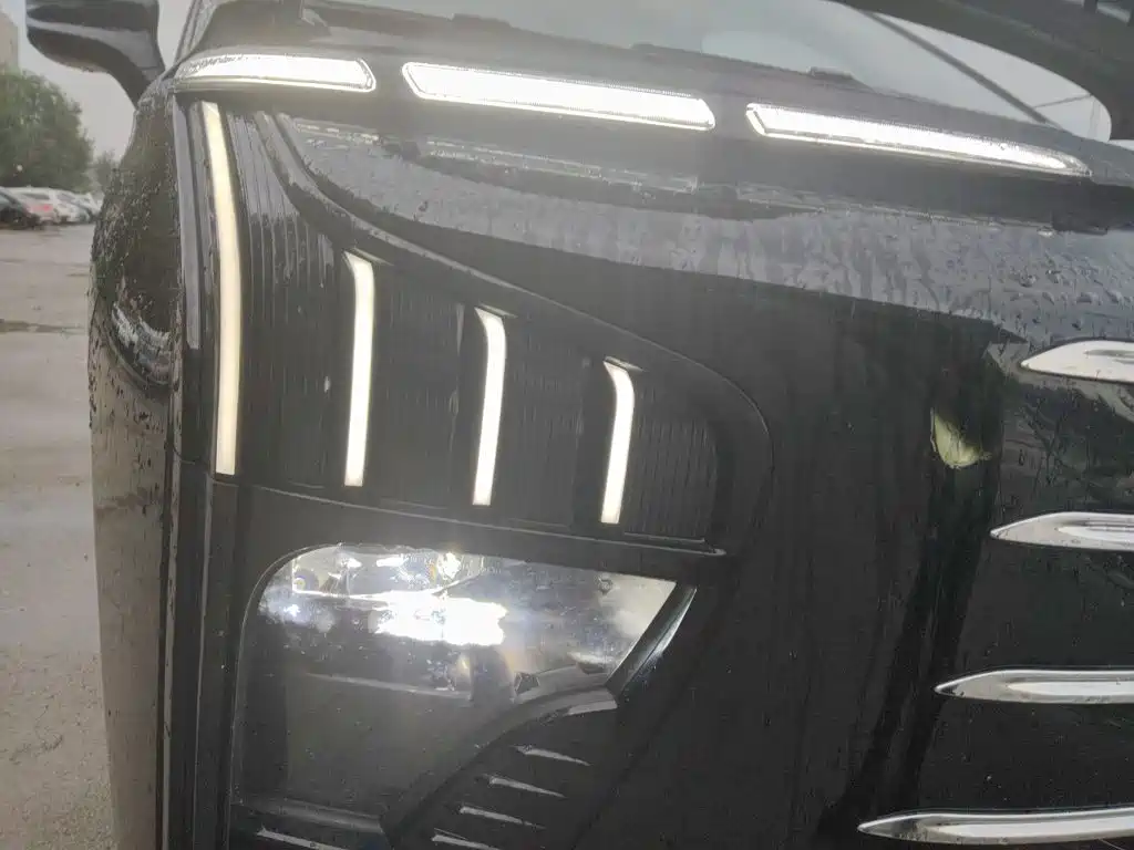 Dongfeng Fengxing Starlight V9 2025 2026 Beyond Joy Series 200km Luxury