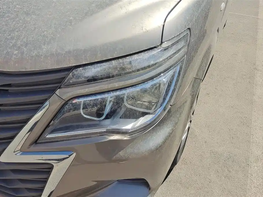 DONGFENG POPULAR LINGZHI