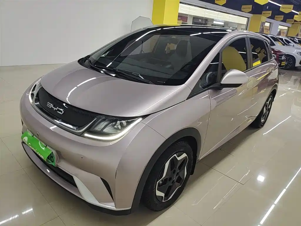 BYD Dolphin 2021 Model 405km Fashion Edition