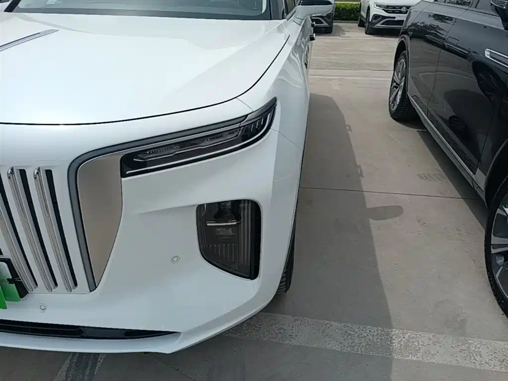 Hongqi E-HS9 2022 690km Qi Xiang Edition (6-seater) фото 24