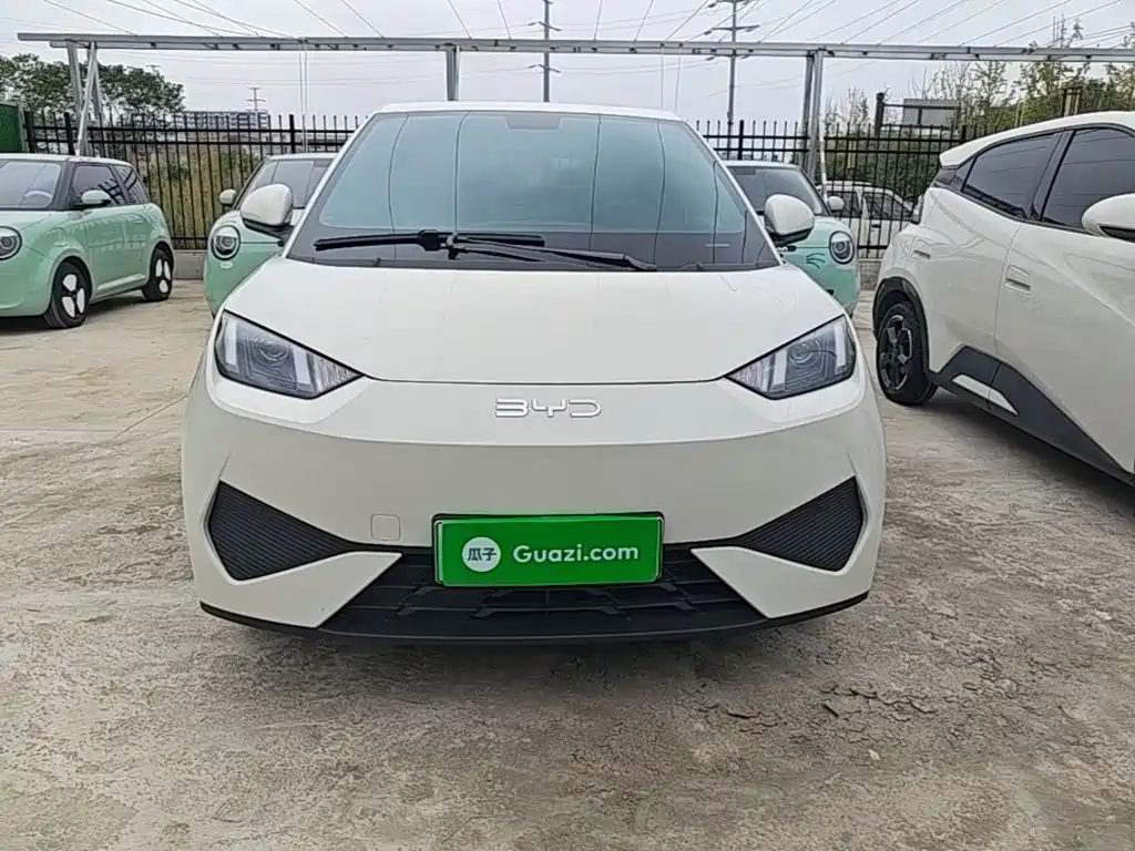 2026 BYD Seagull