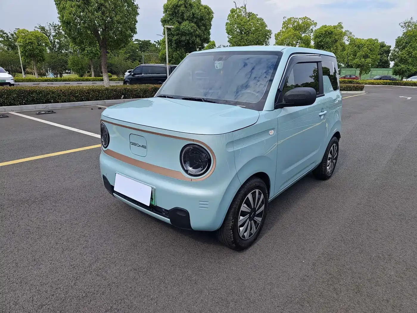 Geely Galaxy Panda 2024 Panda mini 200km Endurance Bear