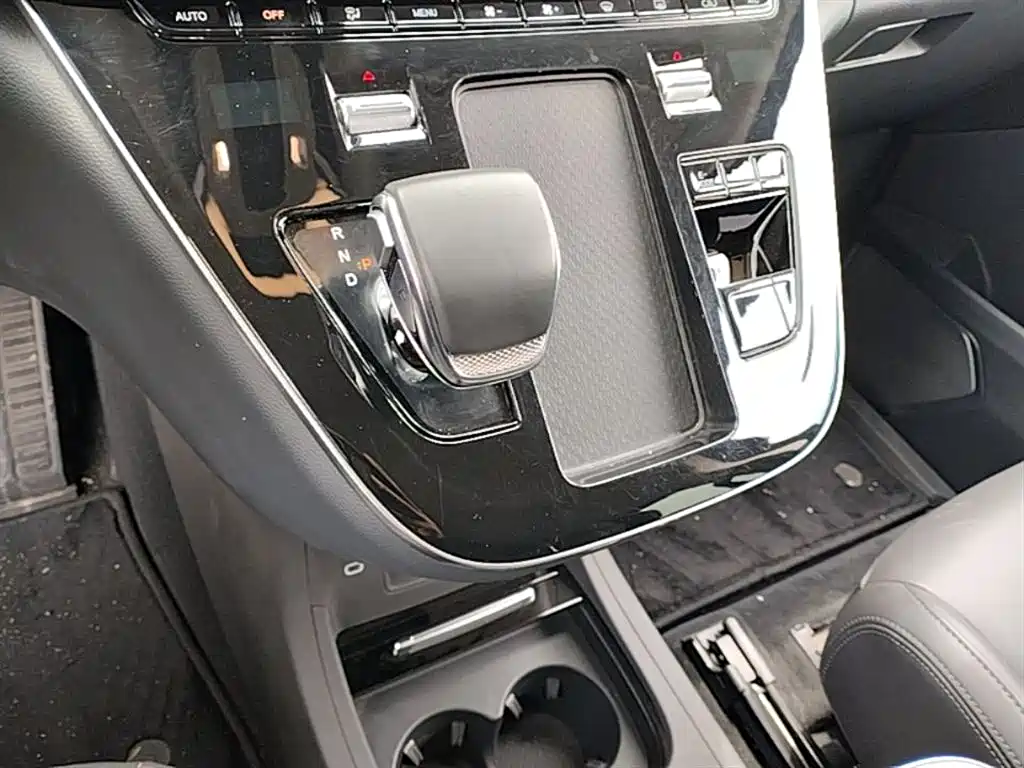 Hongqi HQ9 PHEV 2024 Model 2.0T AWD Business Edition фото 14