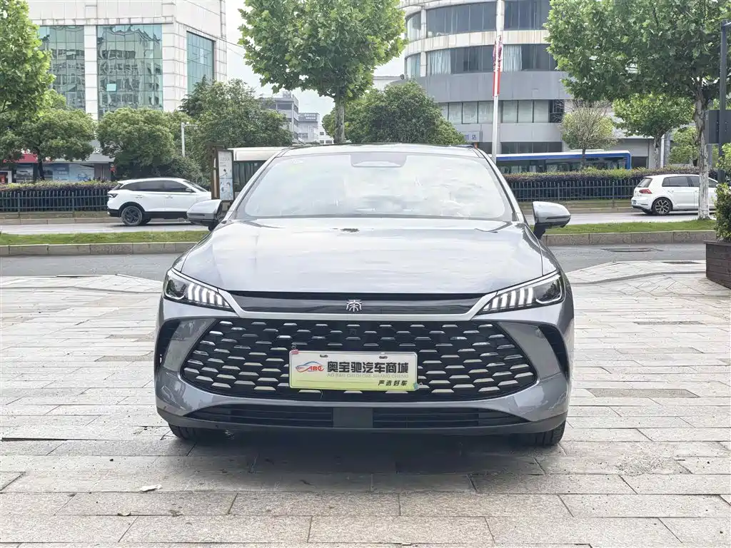 BYD Qin PLUS 2025 DM-i Smart Drive Edition 55KM Surpassing Type фото 2