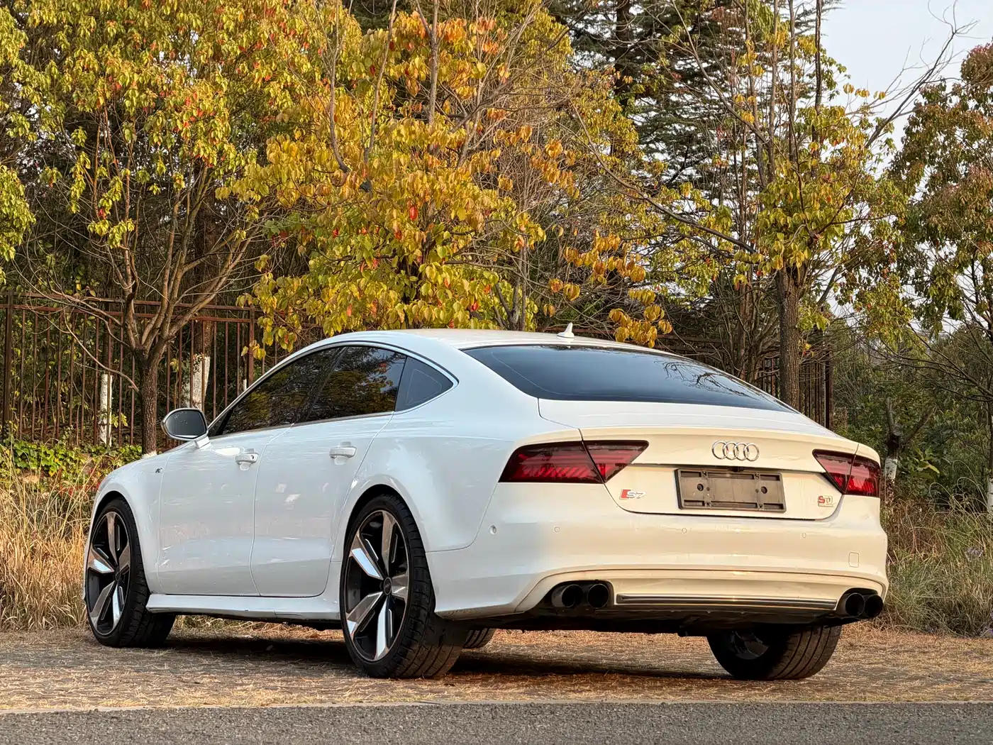 Audi S7 2013 4.0 TFSI quattro фото 13