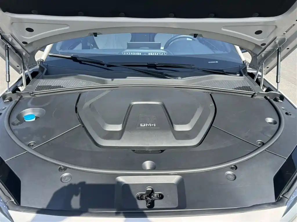 BYD Song PLUS PHEV 2023 Champion Edition DM-i 110KM Flagship PLUS фото 11