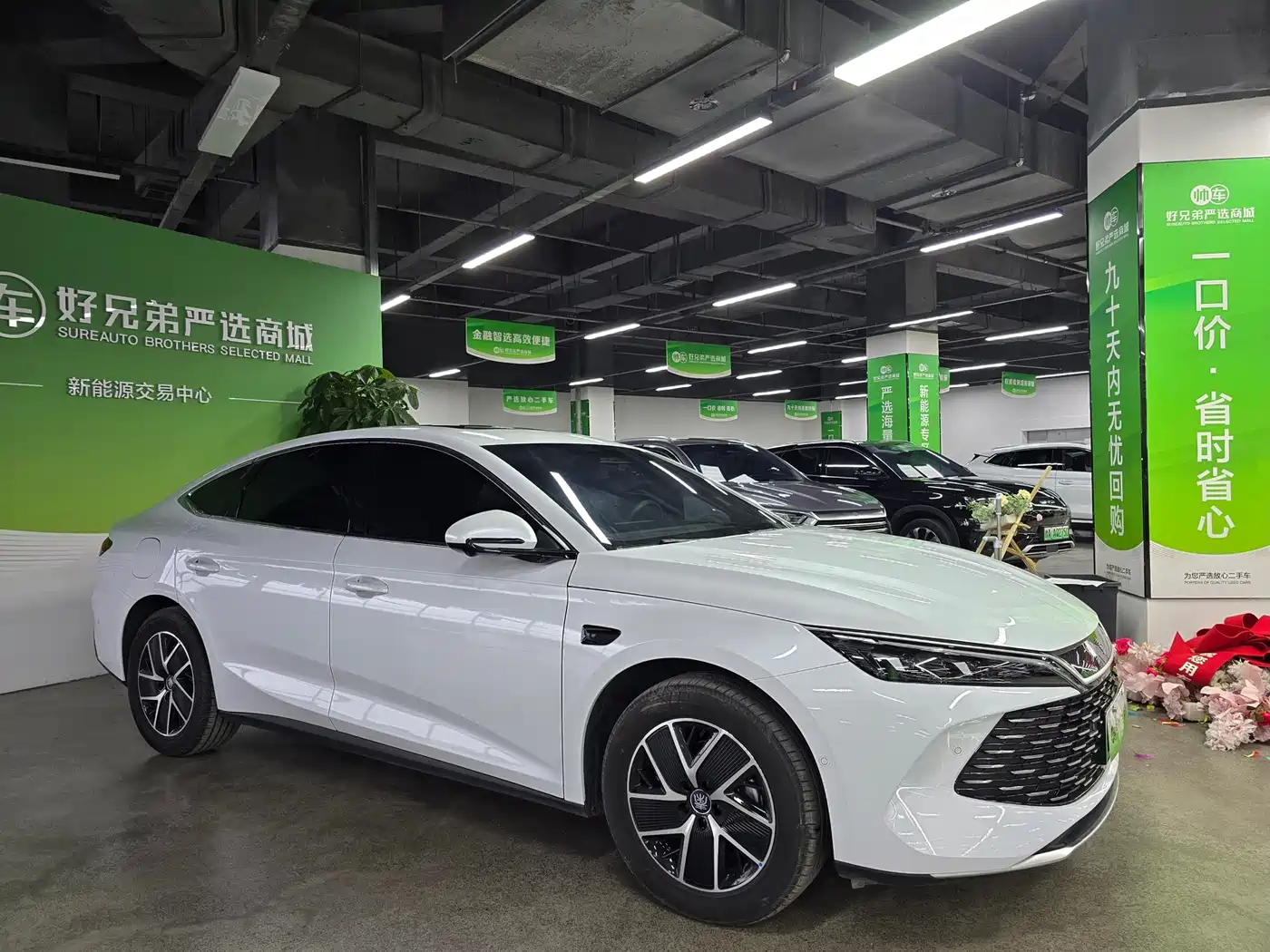 BYD QIN L
