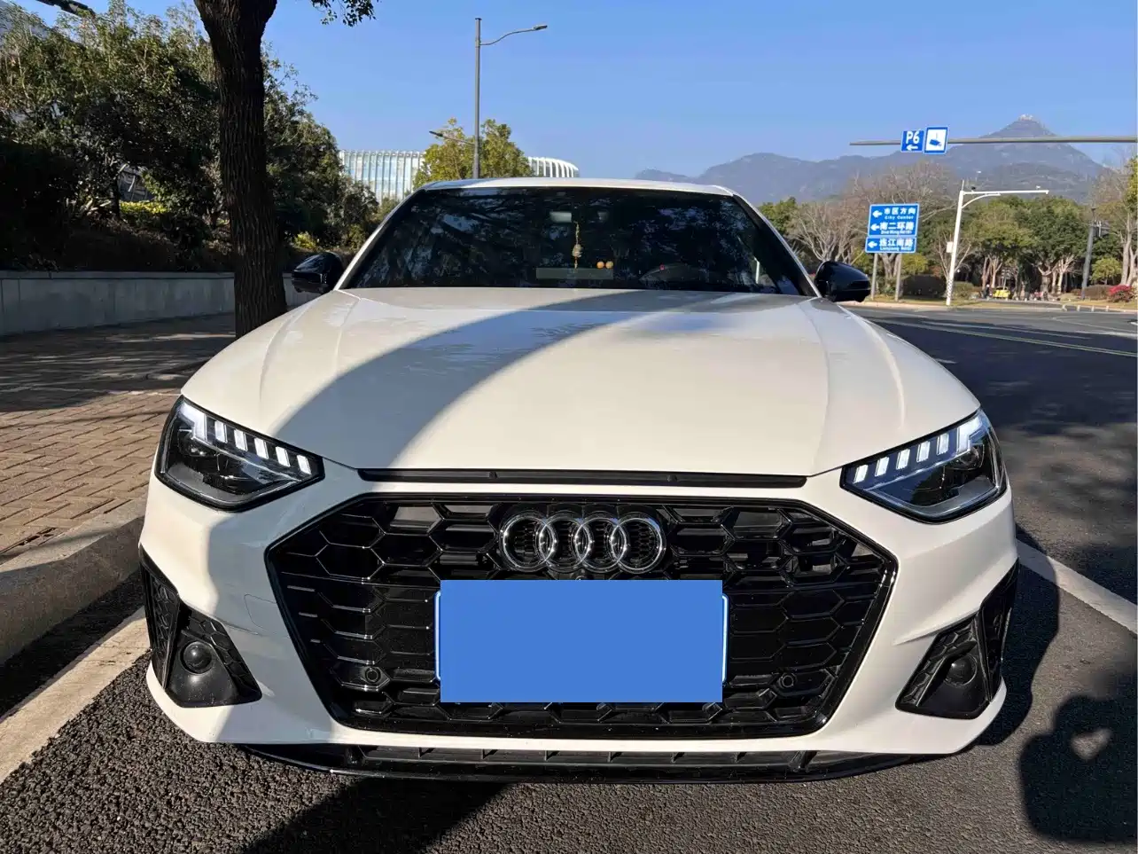 Audi A4L 2025 2025 2 Million Celebration Edition 40 TFSI Luxury Dynamic