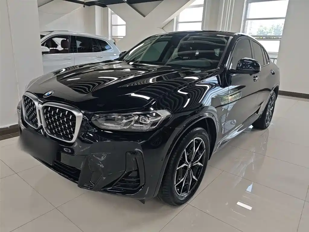 BMW X4 2022 xDrive 25i M Sport Package