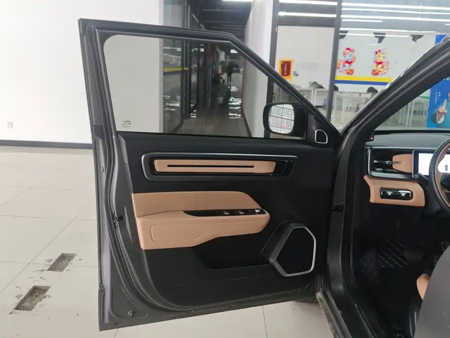 Фото 7 - Geely ICON