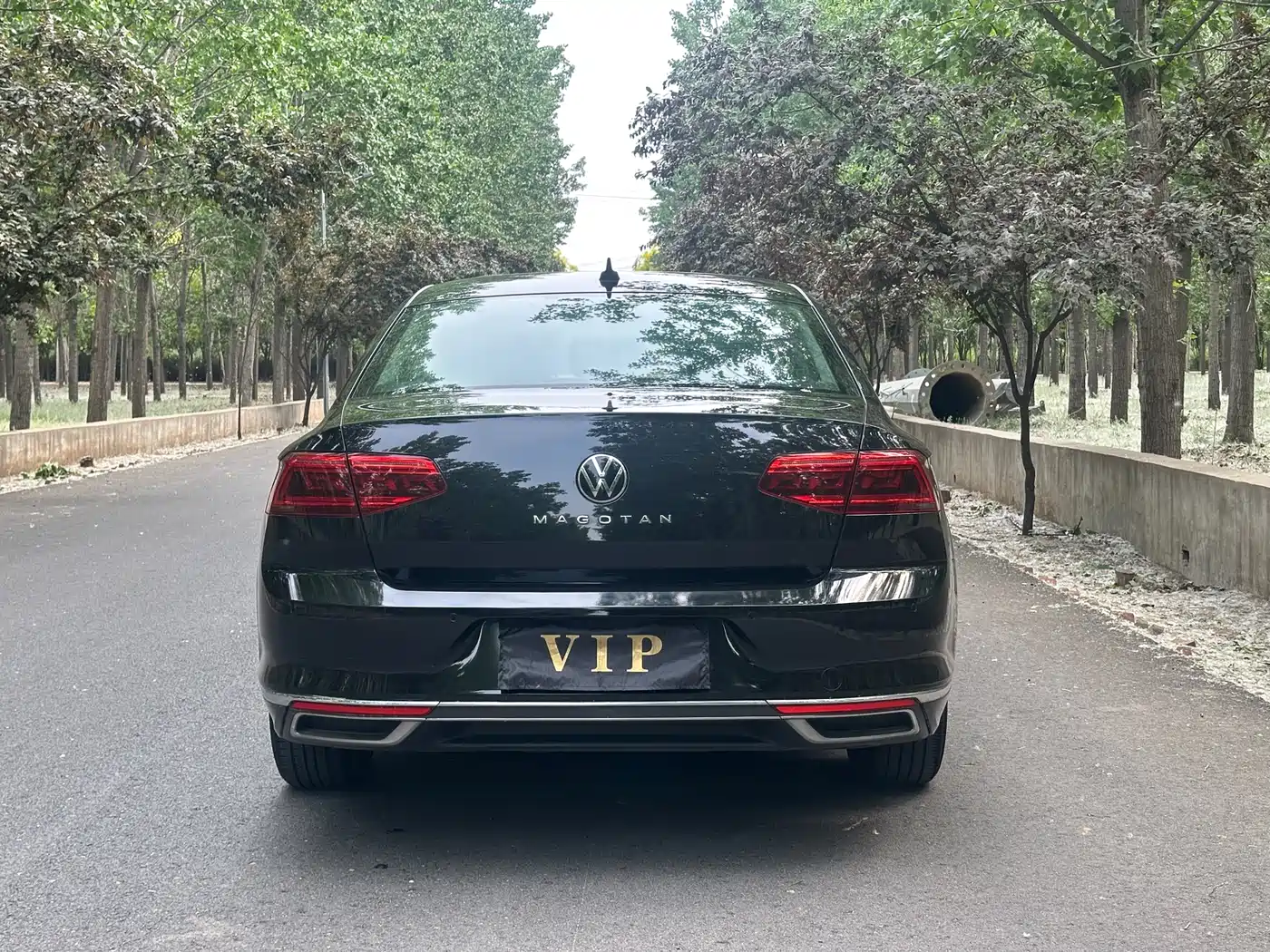 Volkswagen Magotan 2020 280TSI DSG Comfort фото 5