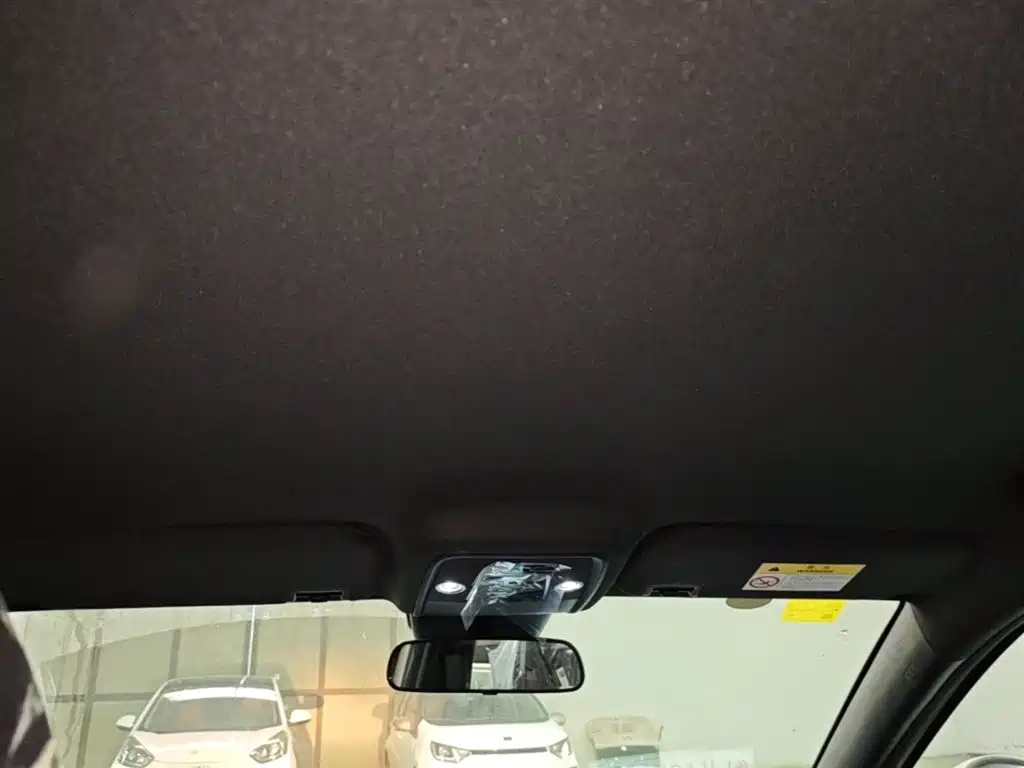 BYD Seagull 2025 Smart Drive Edition 305km Vitality Version фото 18