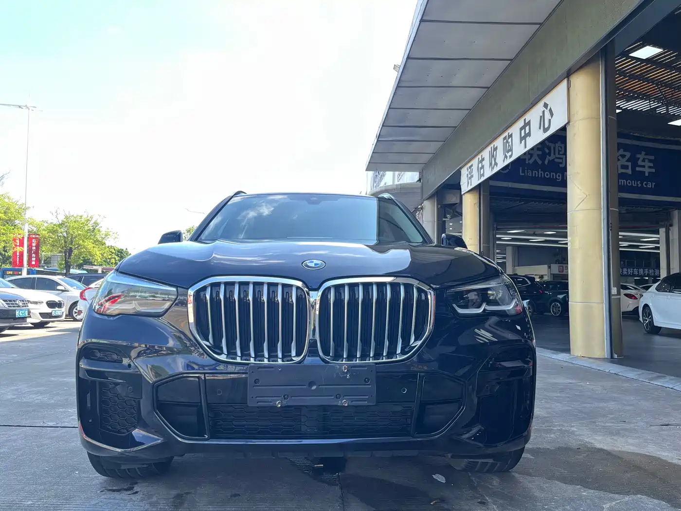 BMW X5 (Import) 2022 xDrive30i M Sport Package фото 3