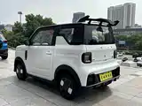 Photo 6 - Geely Galaxy Panda