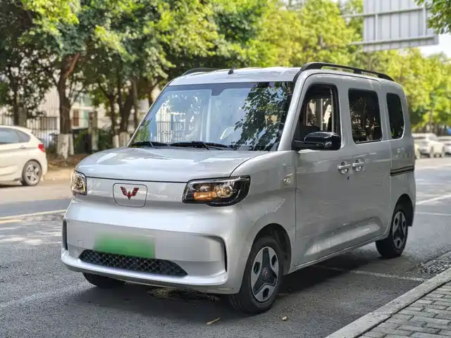  Wuling Motors Wuling Zhiguang NEV 2025 Model Comfort