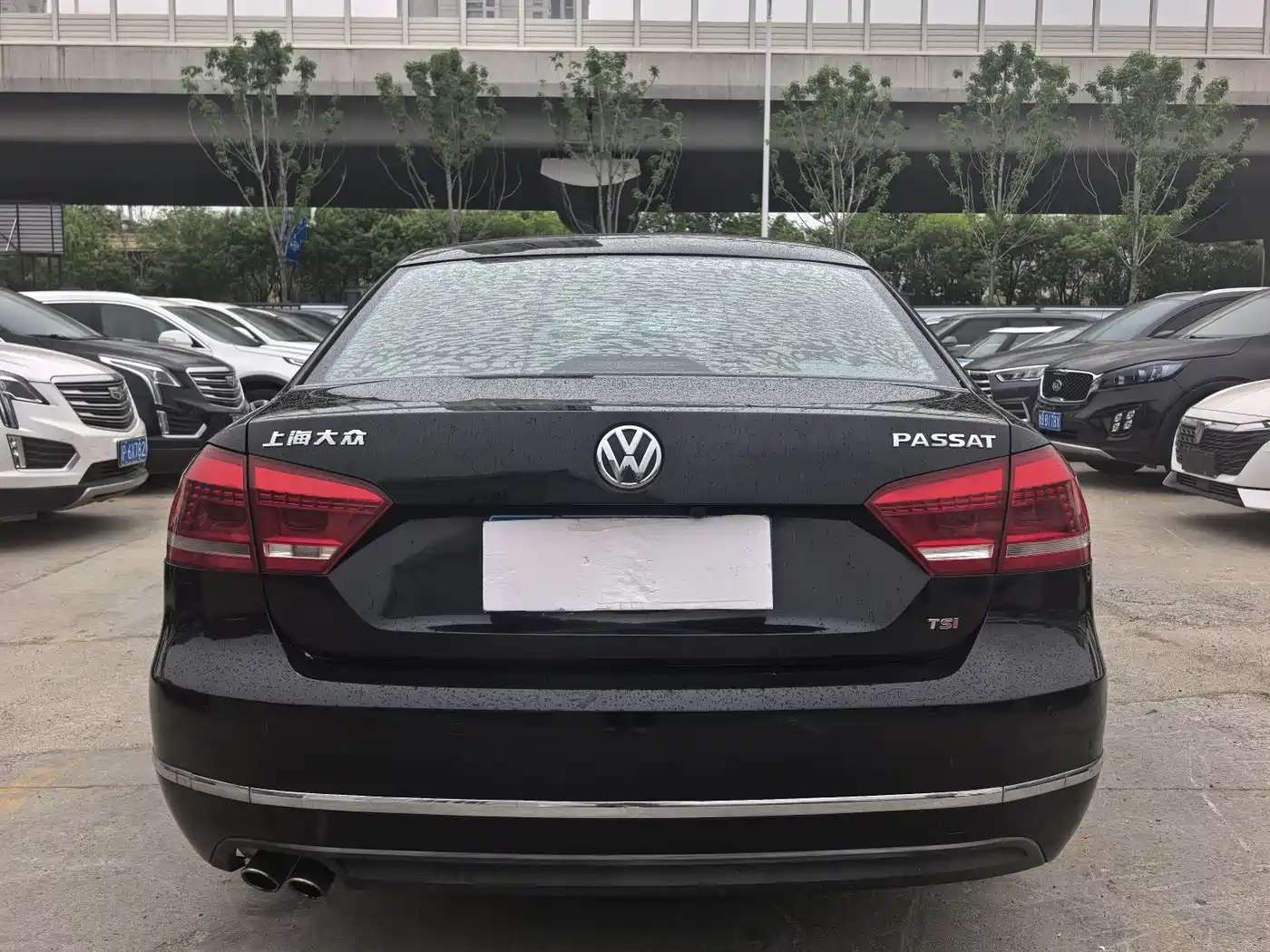Volkswagen Passat 2011 1.8TSI DSG Royal Edition фото 10