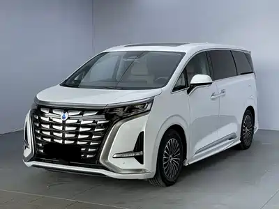 Denza D9