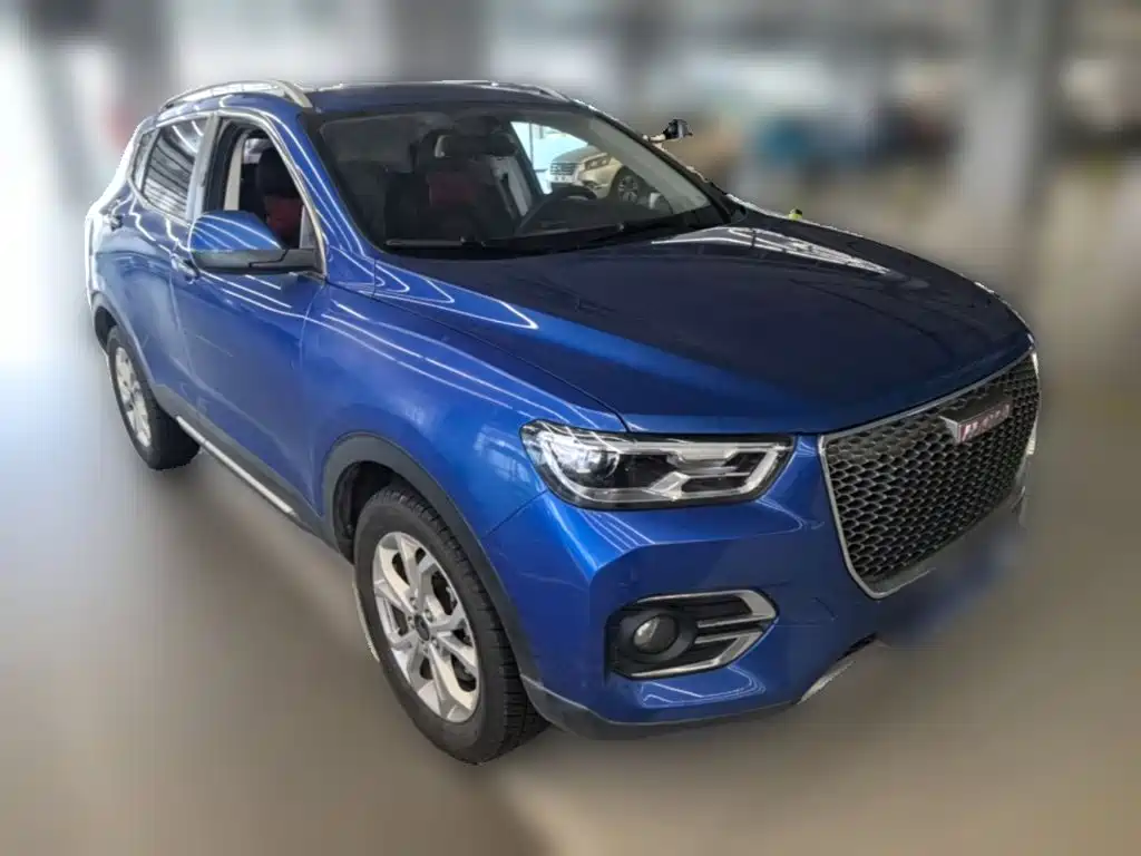صورة 6 - Haval H2s
