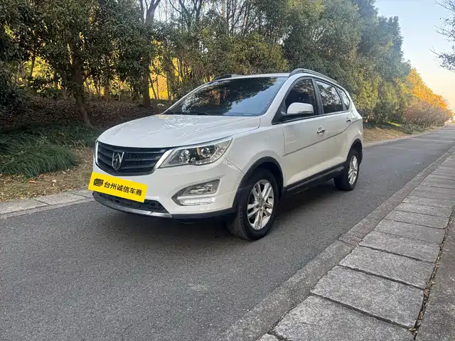BAOJUN 560