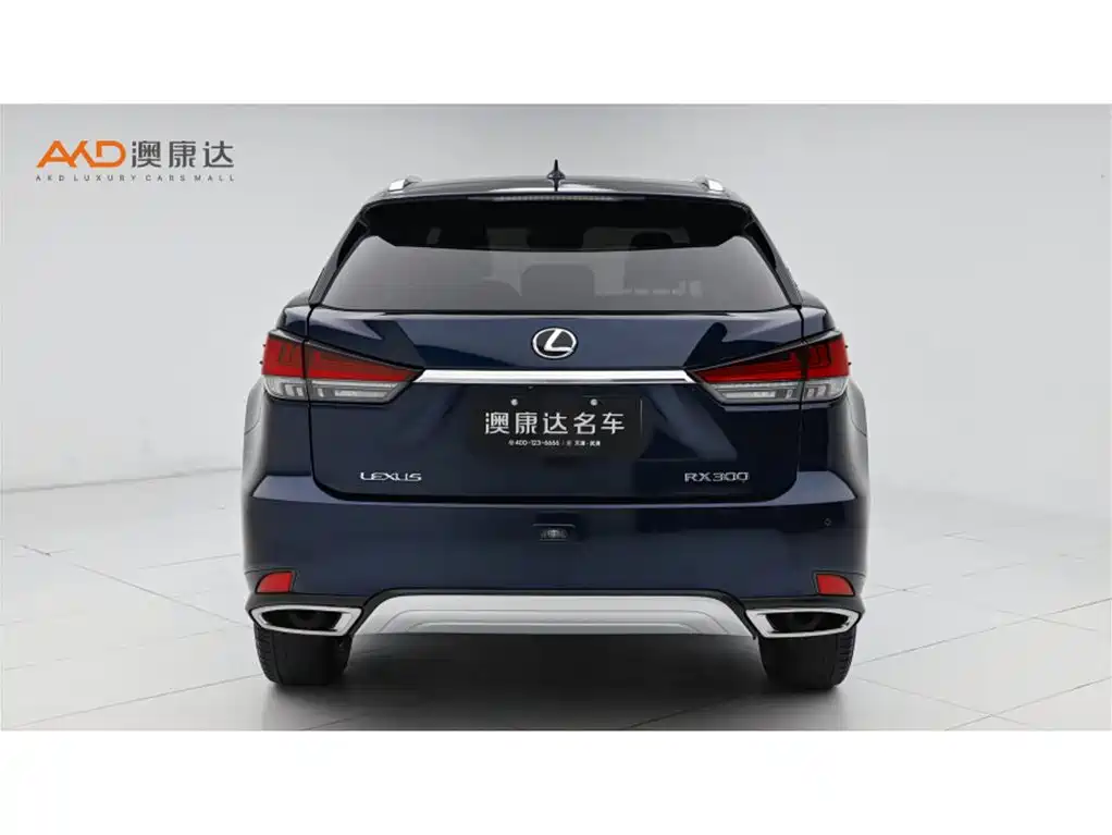 Lexus RX 2020 300 4WD Elegance Edition China VI фото 4